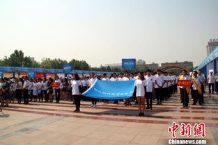 河北保定首创互联网公益文化节，科技赋能点亮公益新生态